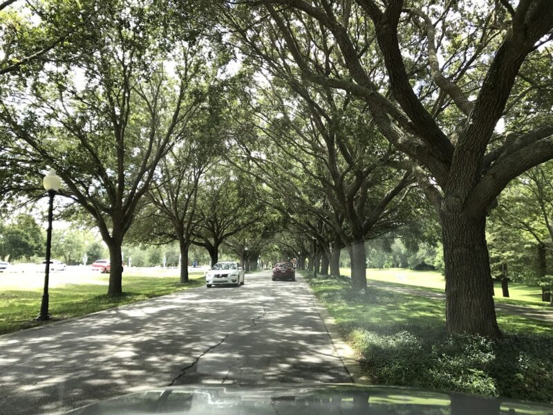 The Greenhouse Venue