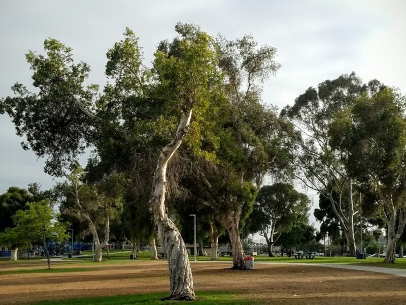 The North Park Event Space