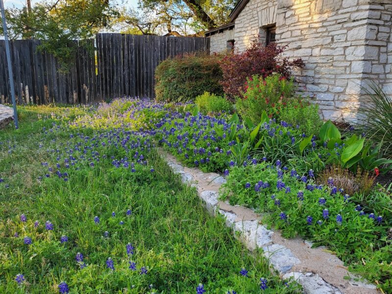 The Zilker Clubhouse