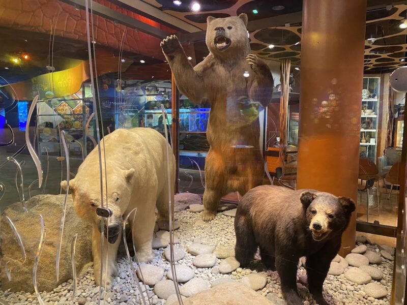 The Discovery Place Science