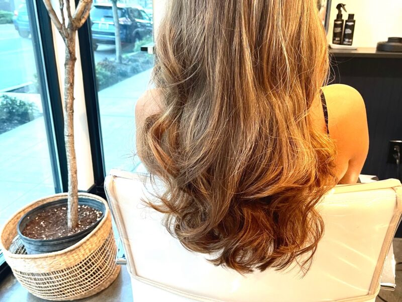 The Collective Seattle