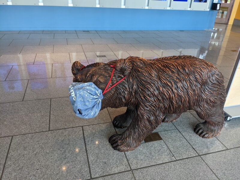 The California Museum