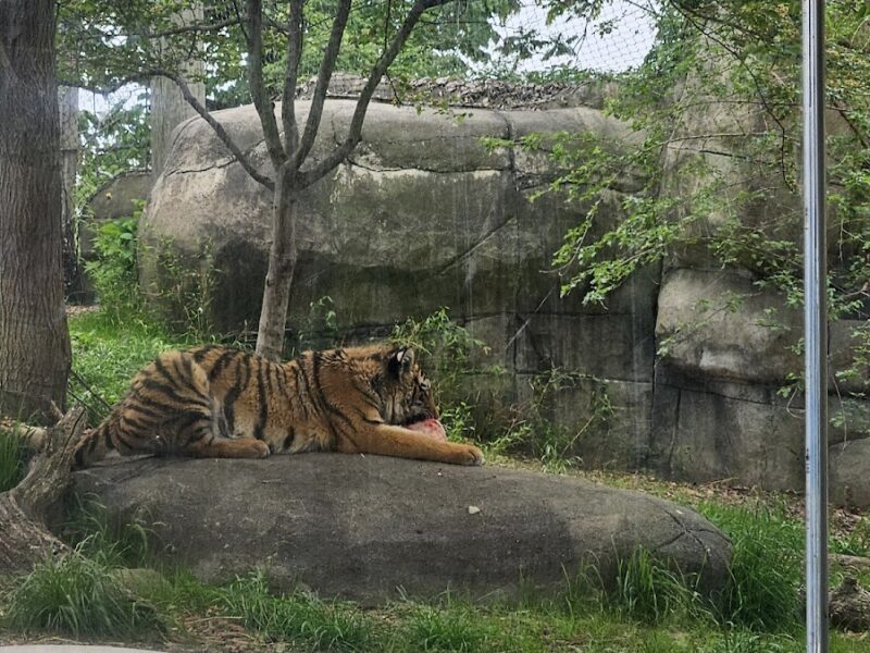 The Indianapolis Zoo