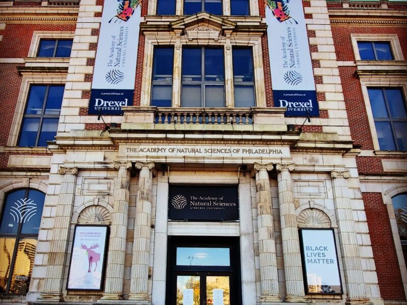 The Academy of Natural Sciences