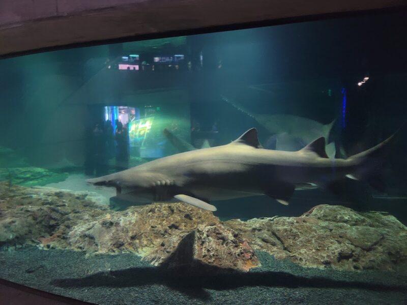 The Baltimore Aquarium Event Space