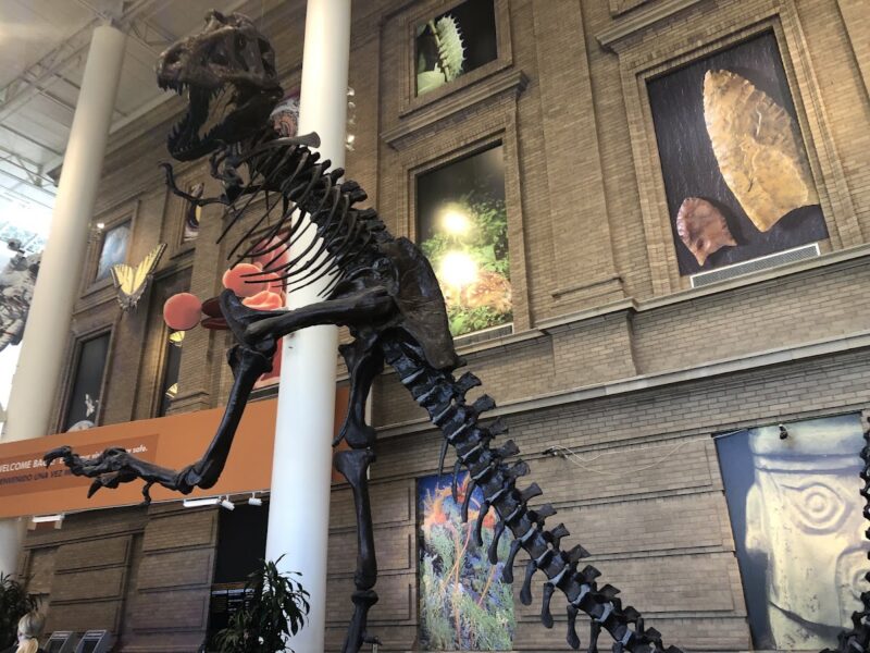 The Denver Museum of Nature & Science
