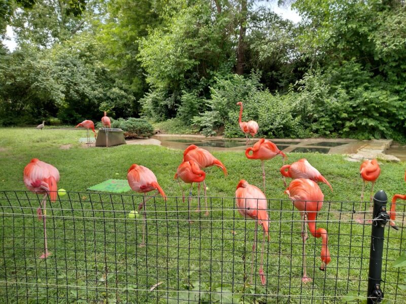 The Columbus Zoo and Aquarium