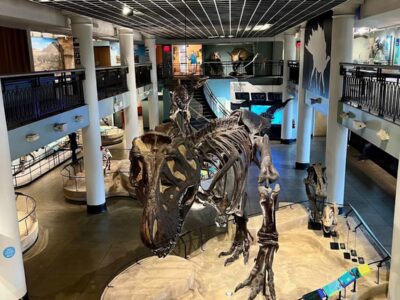 The Academy of Natural Sciences