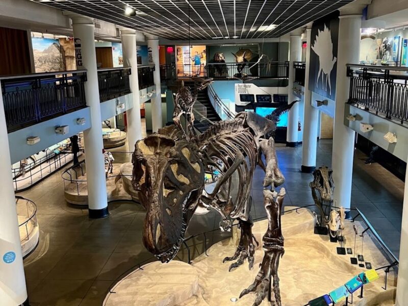 The Academy of Natural Sciences