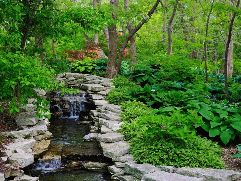 The Omaha Botanical Gardens