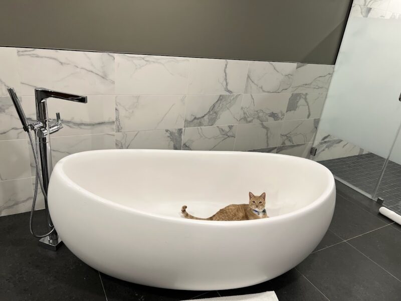 The Thompson San Antonio