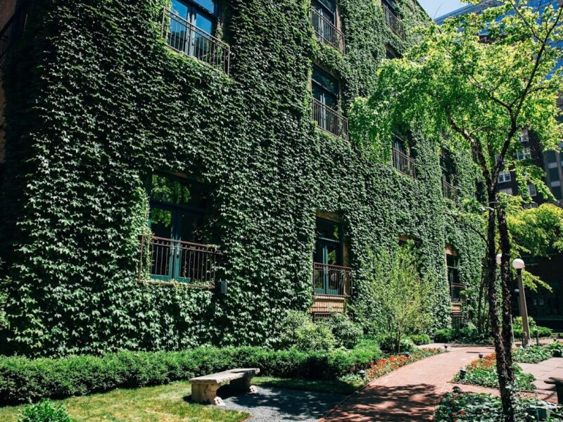 The Ivy Room