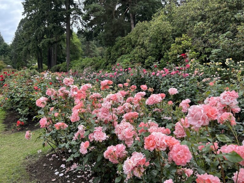 The Rose Garden Hall