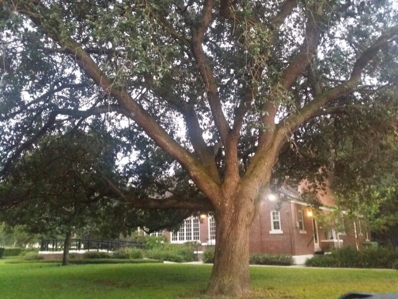 The Seminole Heights Venue