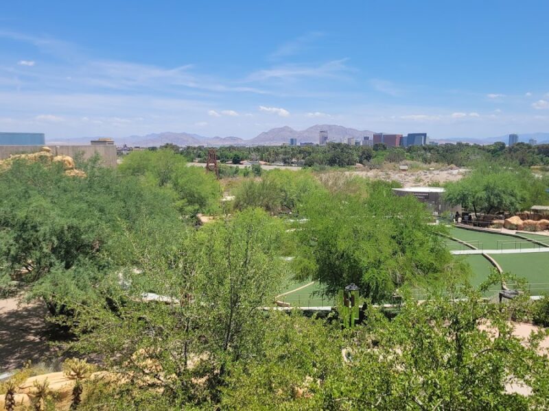 The Springs Preserve