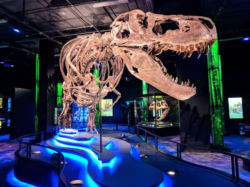 The Arizona Science Center