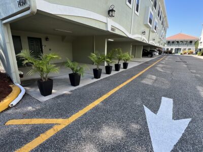 The Enchanted Garden