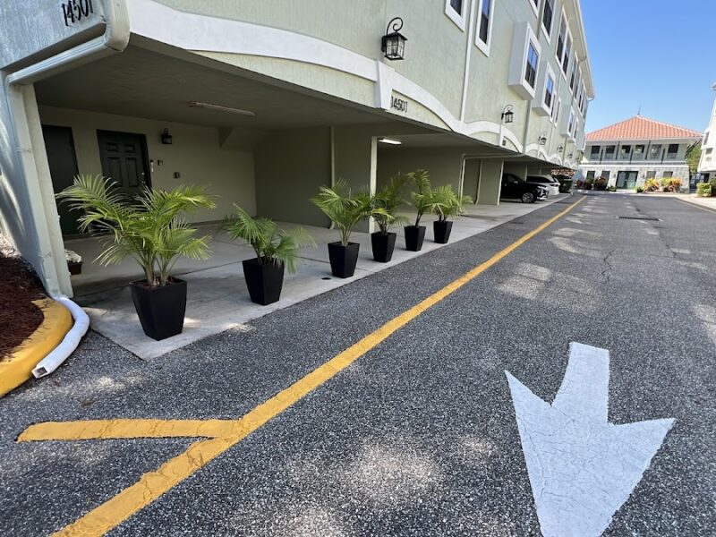 The Enchanted Garden