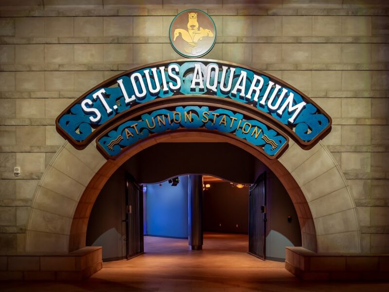 The St. Louis Aquarium