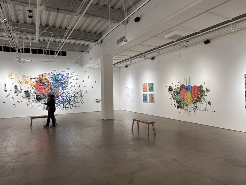 The San Diego Art Institute