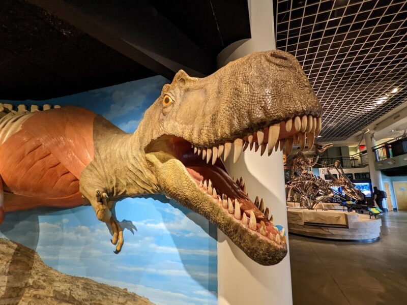 The Academy of Natural Sciences