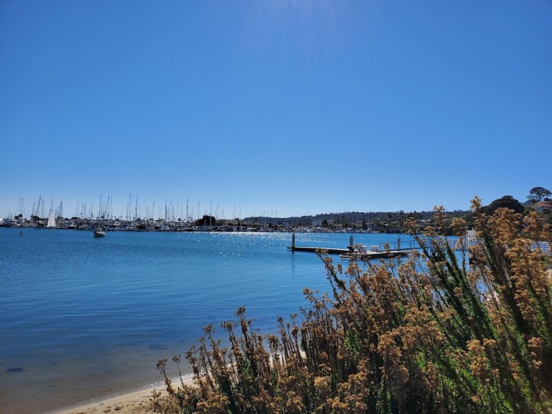 The San Diego Yacht Club