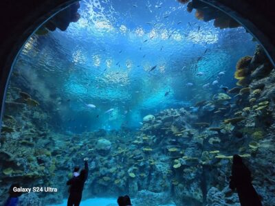 The Seattle Aquarium Event Space