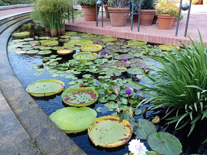 The Chicago Botanic Garden