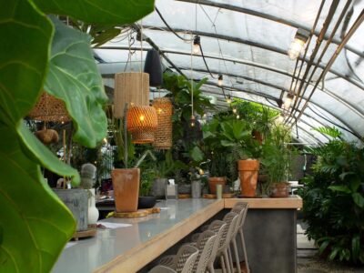 The Greenhouse at 12th