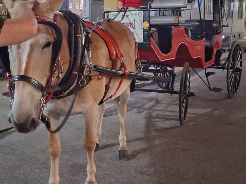 The Historic Carriage House