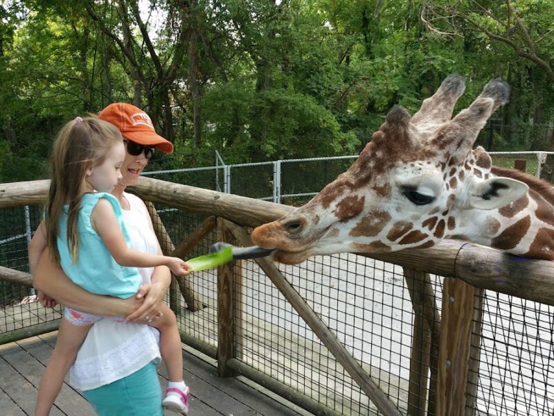 The Memphis Zoo