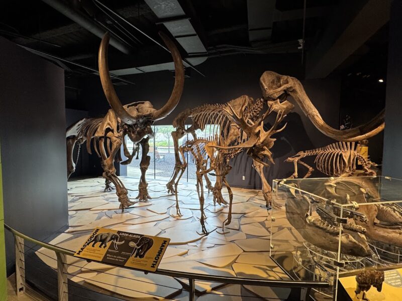 The Indiana State Museum