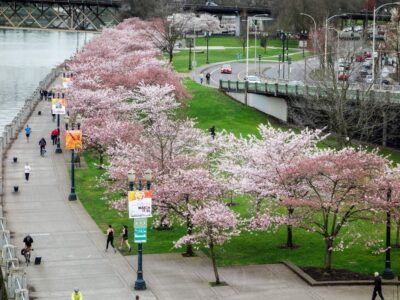 Portland Waterfront Pavilion