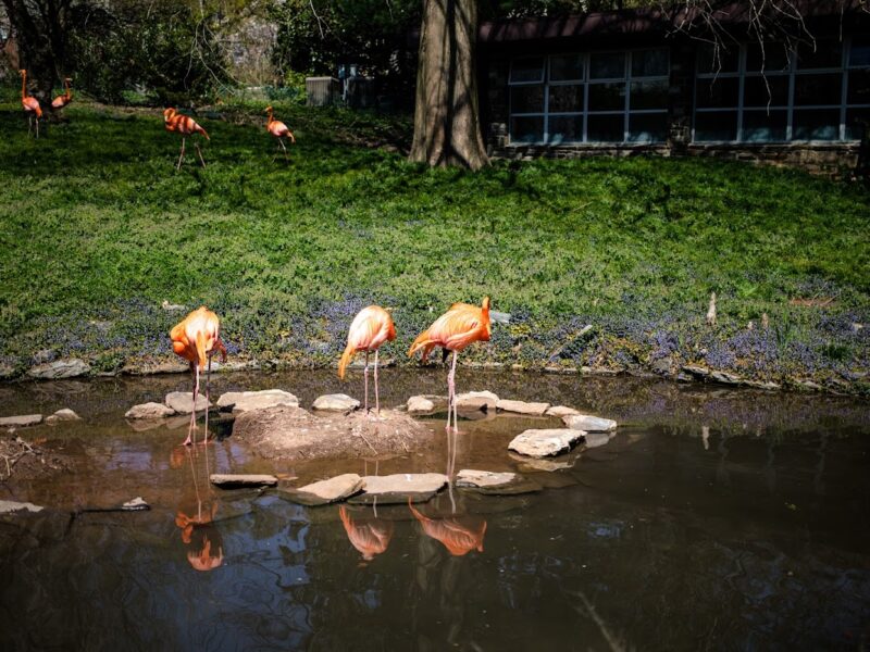 The Philadelphia Zoo