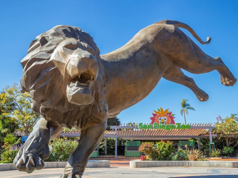 The San Diego Zoo