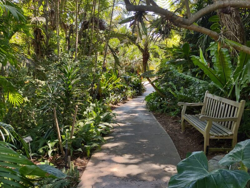 The San Diego Botanic Garden