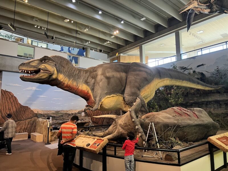 The St. Louis Science Center