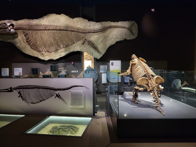 The Springs Preserve