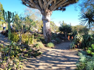 The San Diego Botanic Garden