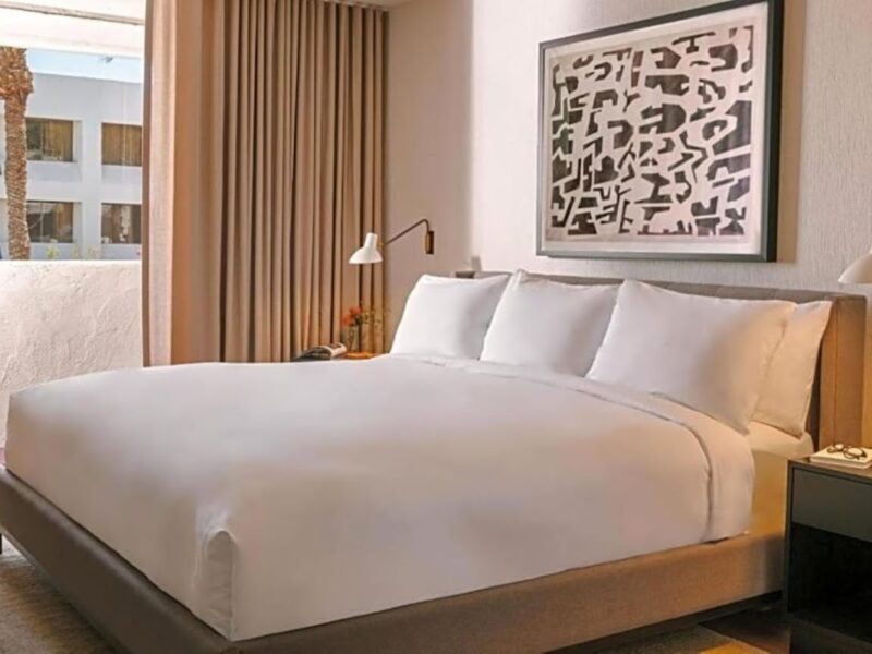 The Saguaro Scottsdale