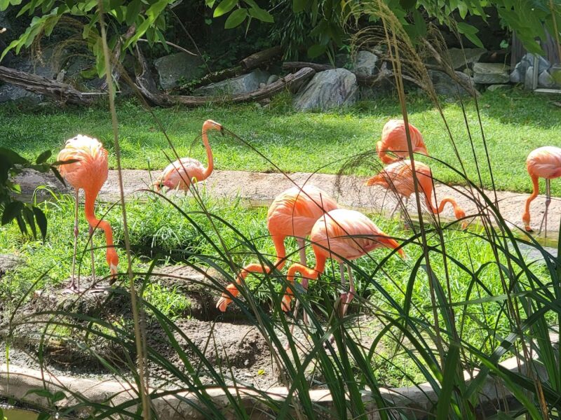 The Maryland Zoo in Baltimore