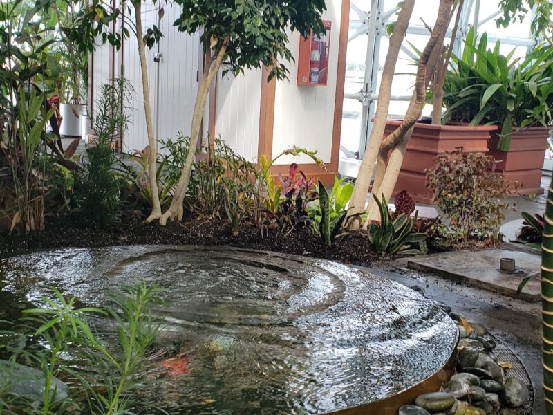 The Crystal Gardens