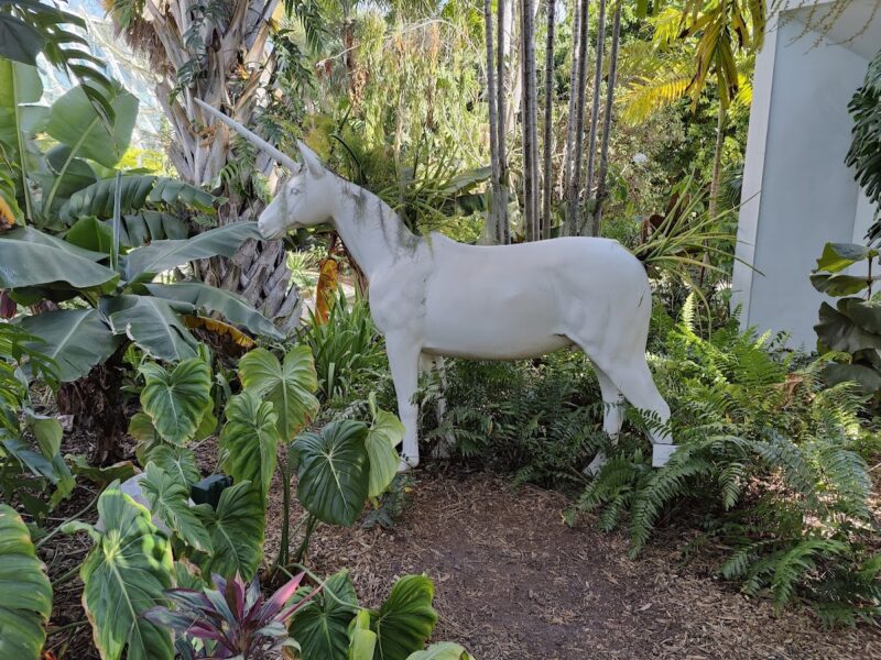 Miami Beach Botanical Garden
