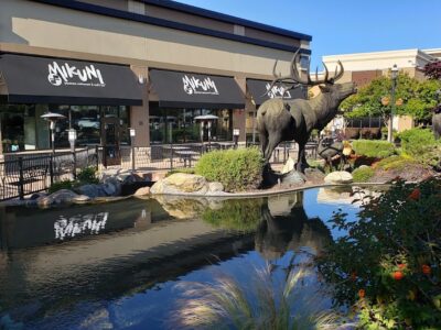 The Fountains at Roseville