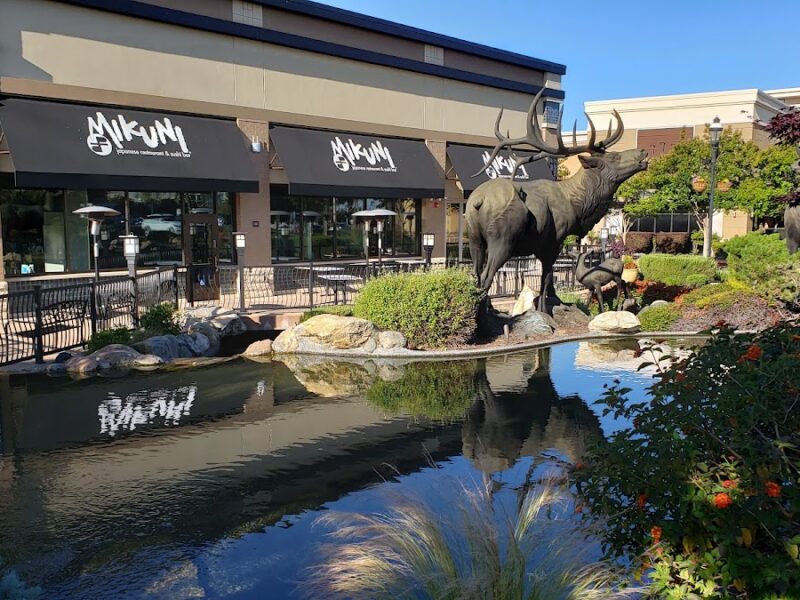 The Fountains at Roseville