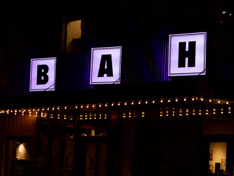 Brooklyn Arts Center