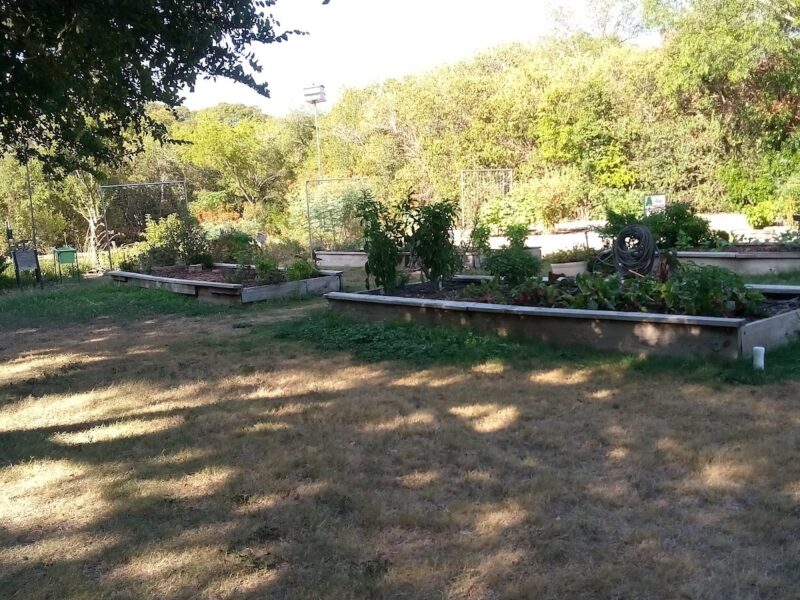 Alamo Heights Community Center