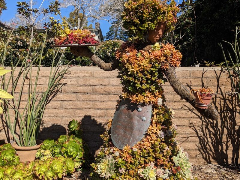 The San Diego Botanic Garden