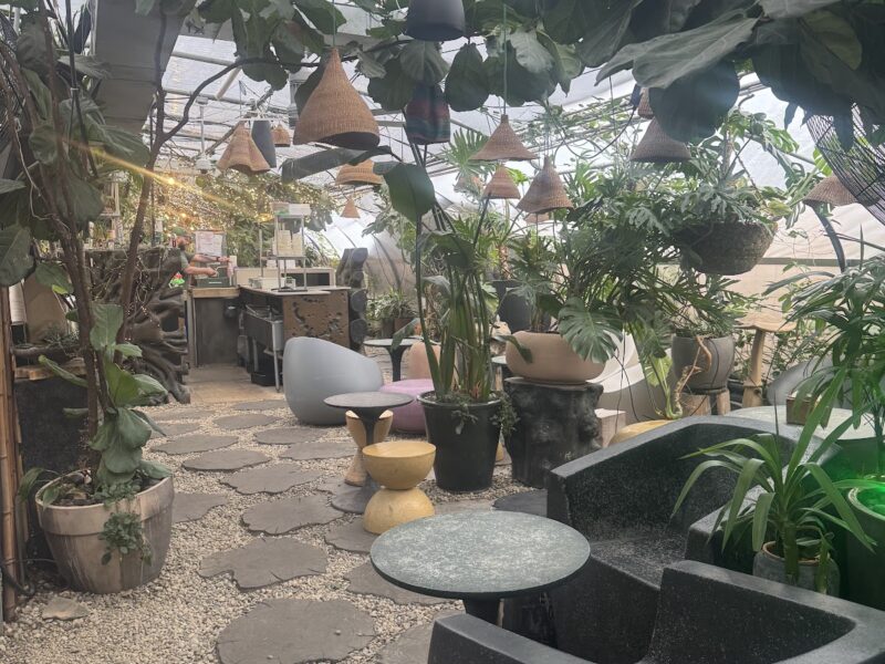 The Greenhouse at 12th