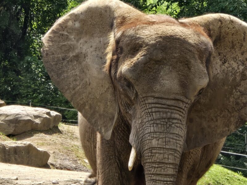 The Pittsburgh Zoo & PPG Aquarium